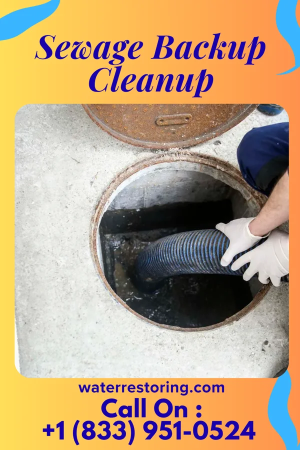 Sewage Backup Cleanup in Mount Gretna, PA